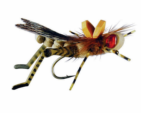 Dunnigan's Young Grasshoppa - Purple