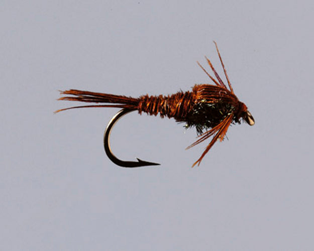 Pheasant Tail Nymph