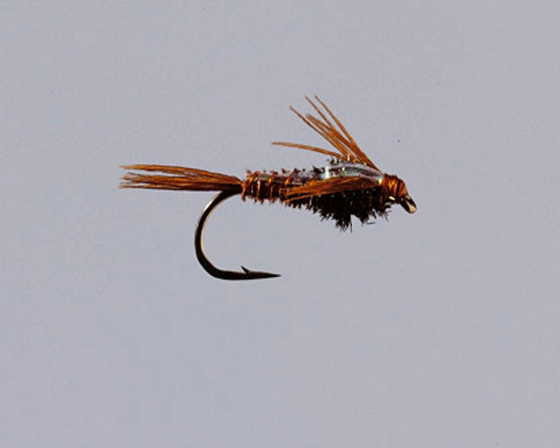 Flashback Pheasant Tail Nymph