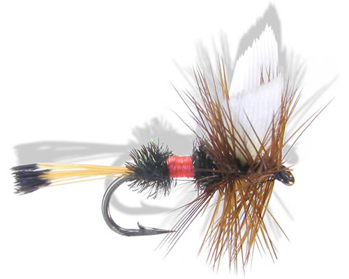 Royal Coachman
#10-18