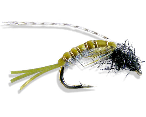 Kyle's Scudaddis - Olive
#16 only
