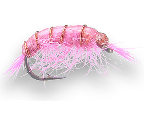 Scud - Pink
#12-20