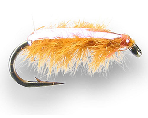 Ray Charles - Orange
#14-20