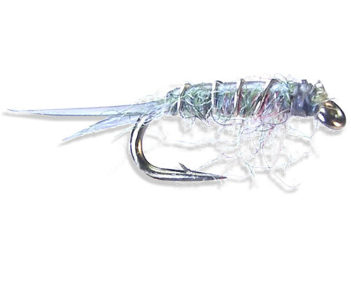 Sow Bug
#14-20