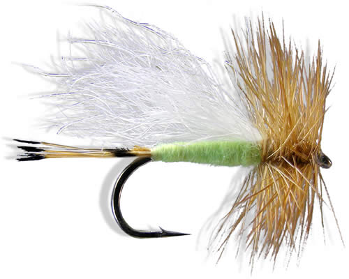 Trude - Lime
#10-16