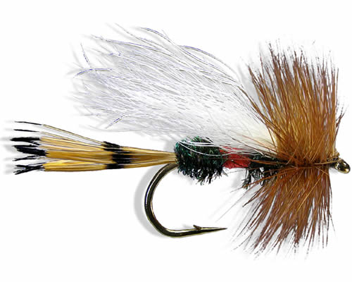 Trude - Royal
#10-16