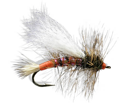 Shanafelt's Bitterroot Trude™
#14-16