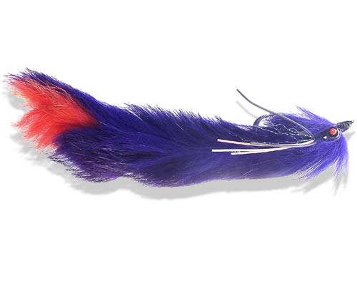 Harry Water Pup - Purple
#6