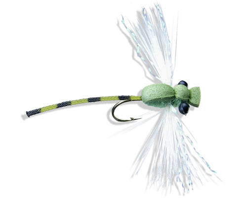 Adult Damsel - Olive
#10-14