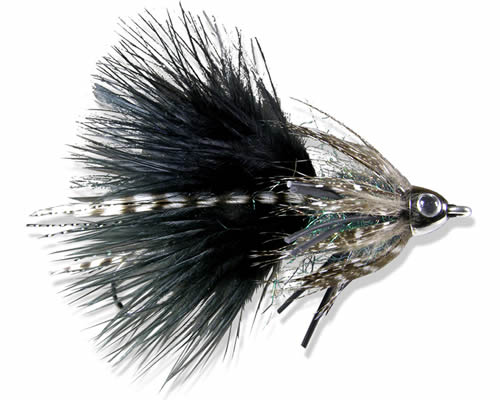 Chou's Fortune Cookie - Black
#6