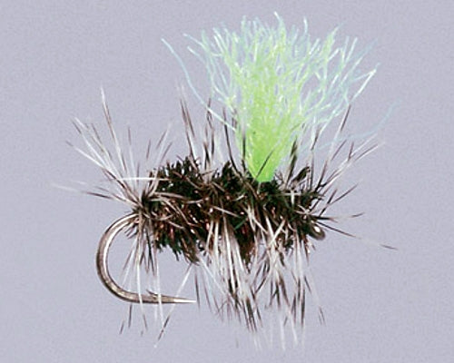 Hi-Viz Griffith's Gnat