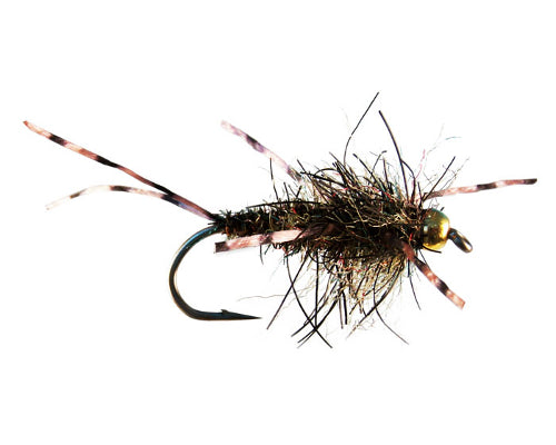 Parkin's BH PR Muskrat - Golden Stone