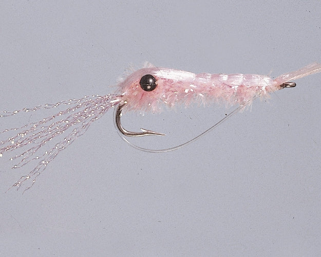 Pink Crystal Shrimp - Size 06