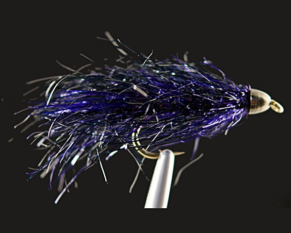 AJ's CH Sparkle Leech - Black/Purple
