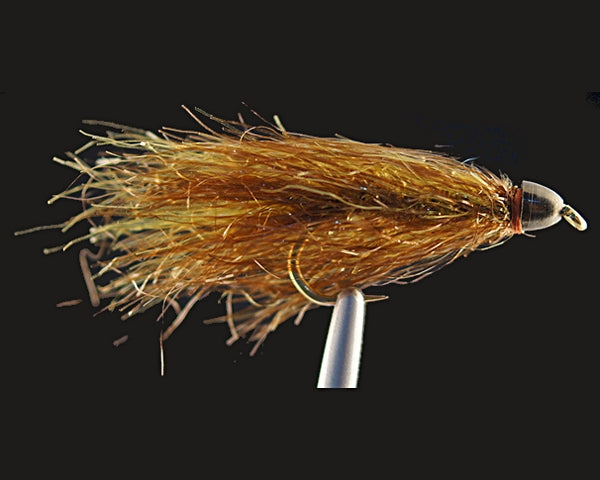 AJ's CH Sparkle Leech - Olive/Brown
