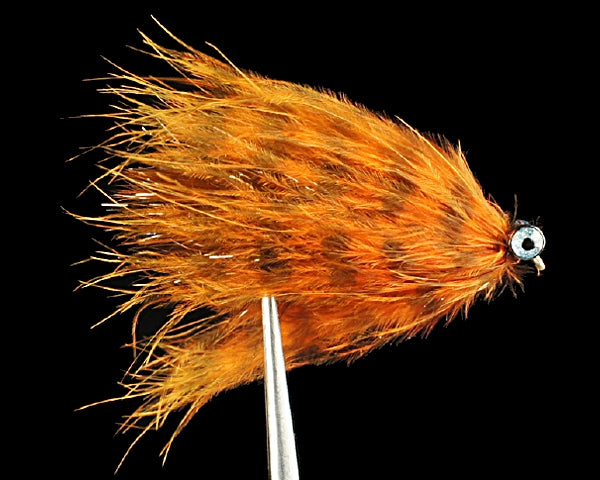 AJ's LE Sparkle Leech Burnt Orange/Brown/Brown