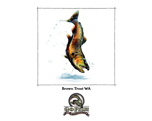 Brown Trout WA - White