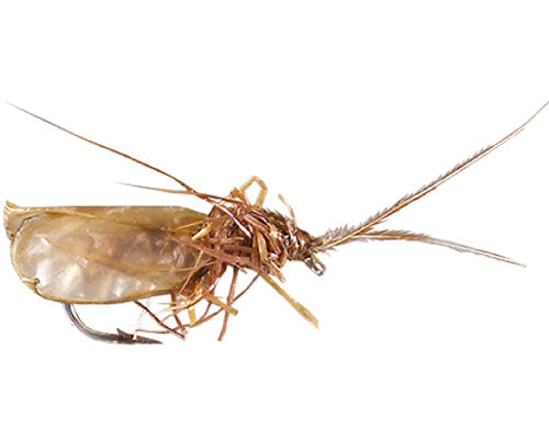 Angelo's Burn-Wing Deer Caddis - Tan
#12-16