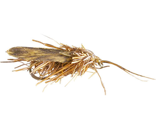Angelo's Deer Caddis - Mottled Brown
#12-16