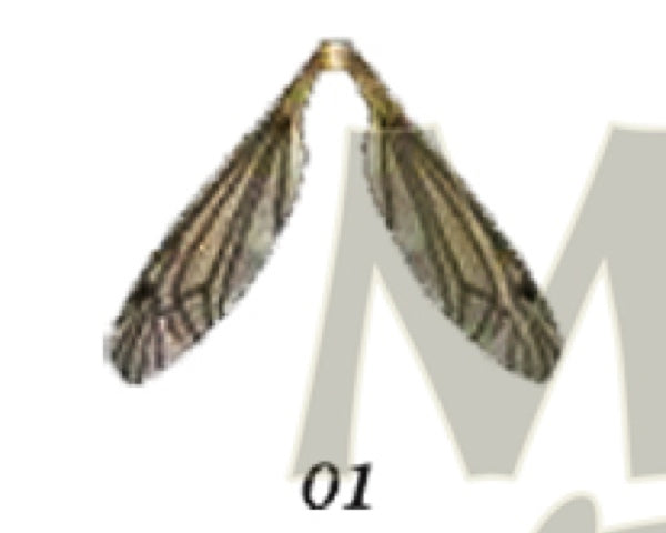 Ant Wings - Clear (12 Pack)