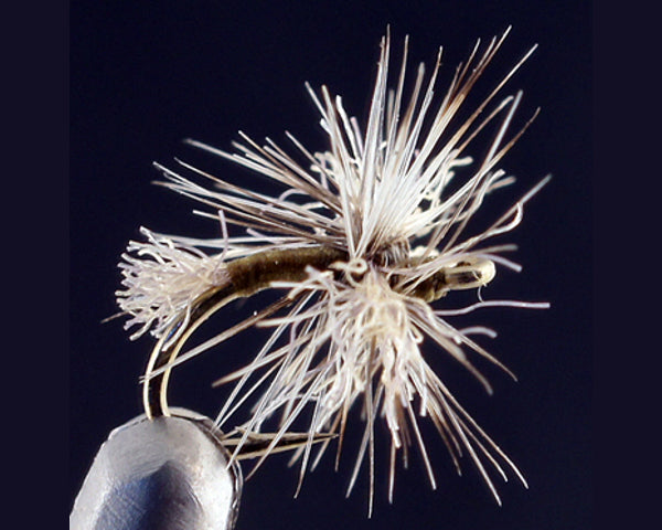 Bucky's Midge Cluster #14-20