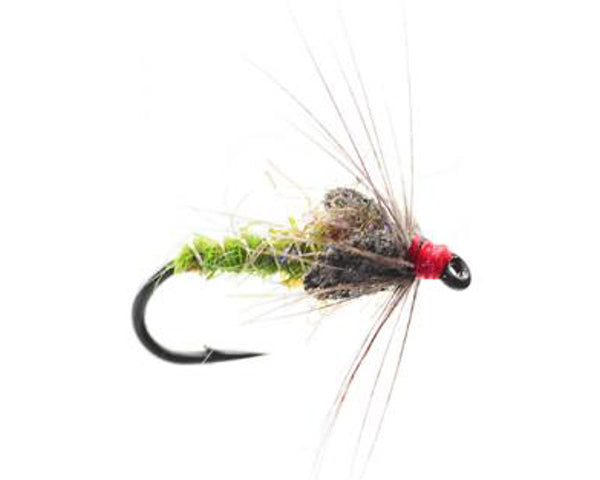 Budding Caddis Soft Hackle - Green - #13 - 17