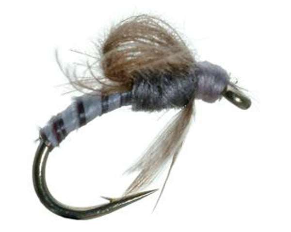 CDC Loop Wing Emerger - #18 & 20
