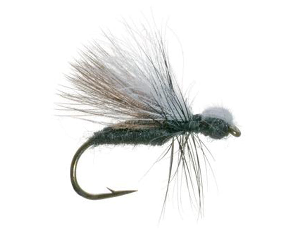 Shimazaki's CDC Ant - Black - #14 & 16