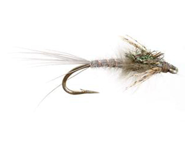 Schrantz Callibaetis Nymph - #14 & 16