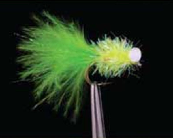 Chan's Las Vegas Booby Leech - Chartreuse Green