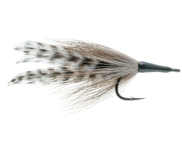 Umpqua - Cockroach