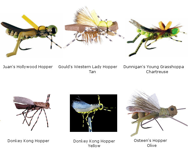 Hopper Fly Assortment - 6 piece II - #08 or #10