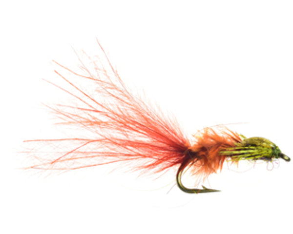 Damsel Leech ZT - Rust