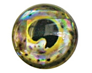 FishIze - Spotted Rainbow