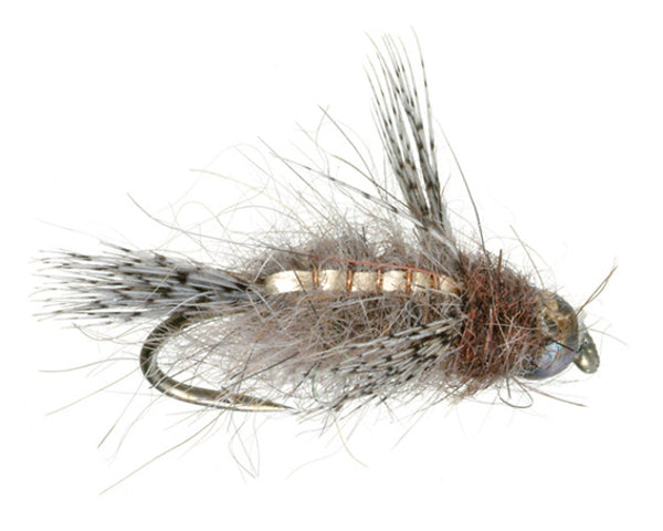 Flashback Caddis Nymph - #14 & 16