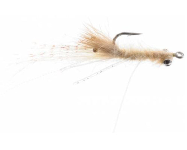 Ghost Shrimp - Tan
