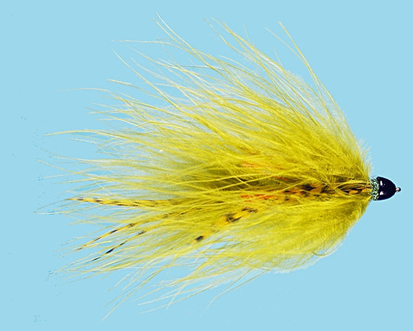 Galloup's CH TA Leech - Olive