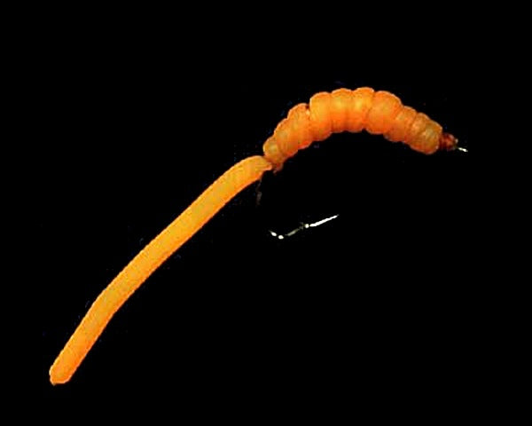 Galloway's Vladi Worm - Orange