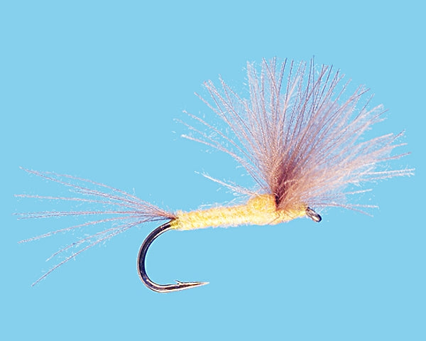 Guinn's CDC Shucked Sulpher Dun