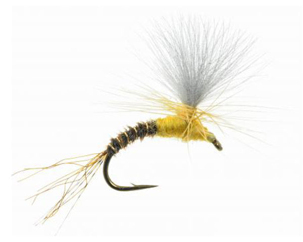 Half & Half CDC Emerger - Sulfur - #16 & 18