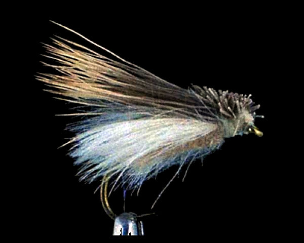 Jake's Richter Scale Spruce Moth