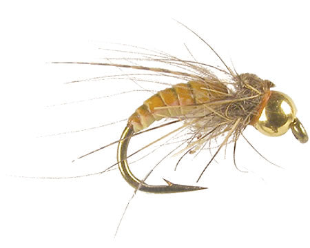 Joca's BH Caddis Pupa - Cream
#14-18