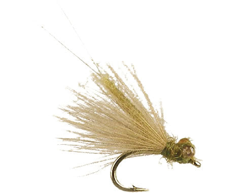 Joca's CDC BWO Spent Adult
#18-20