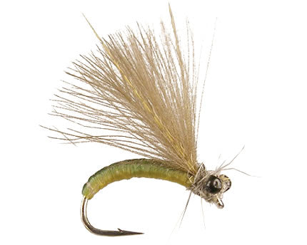 Joca's CDC Caddis Adult - Olive
#14-18