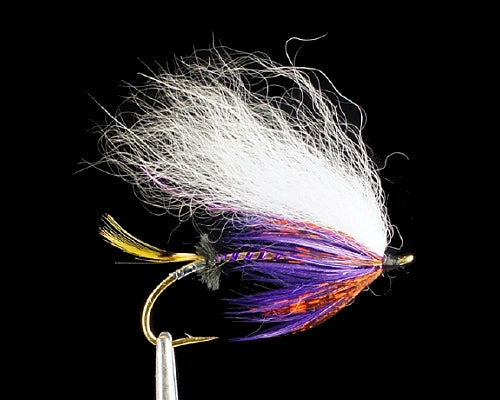Johnson's Felon - Purple
