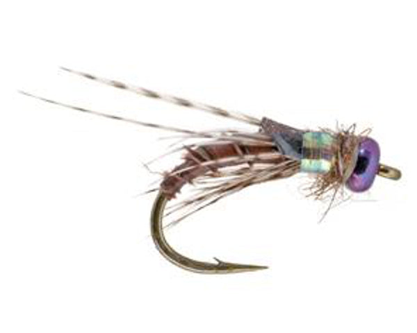 Little Brown Bug - #16 & 18