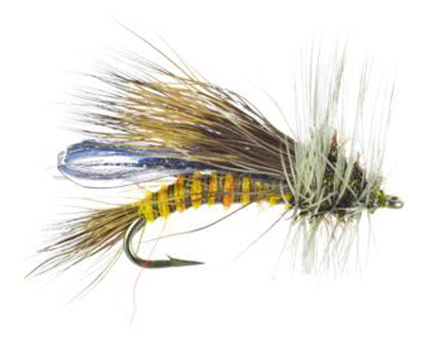 Little Olive Stone Skwala - #12