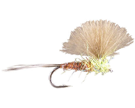 Loidl's Flymph - PMD
#14-18