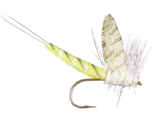 Lucent Wing True Hex