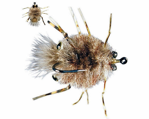 MFC "Munchy Flats Crab" - Tan